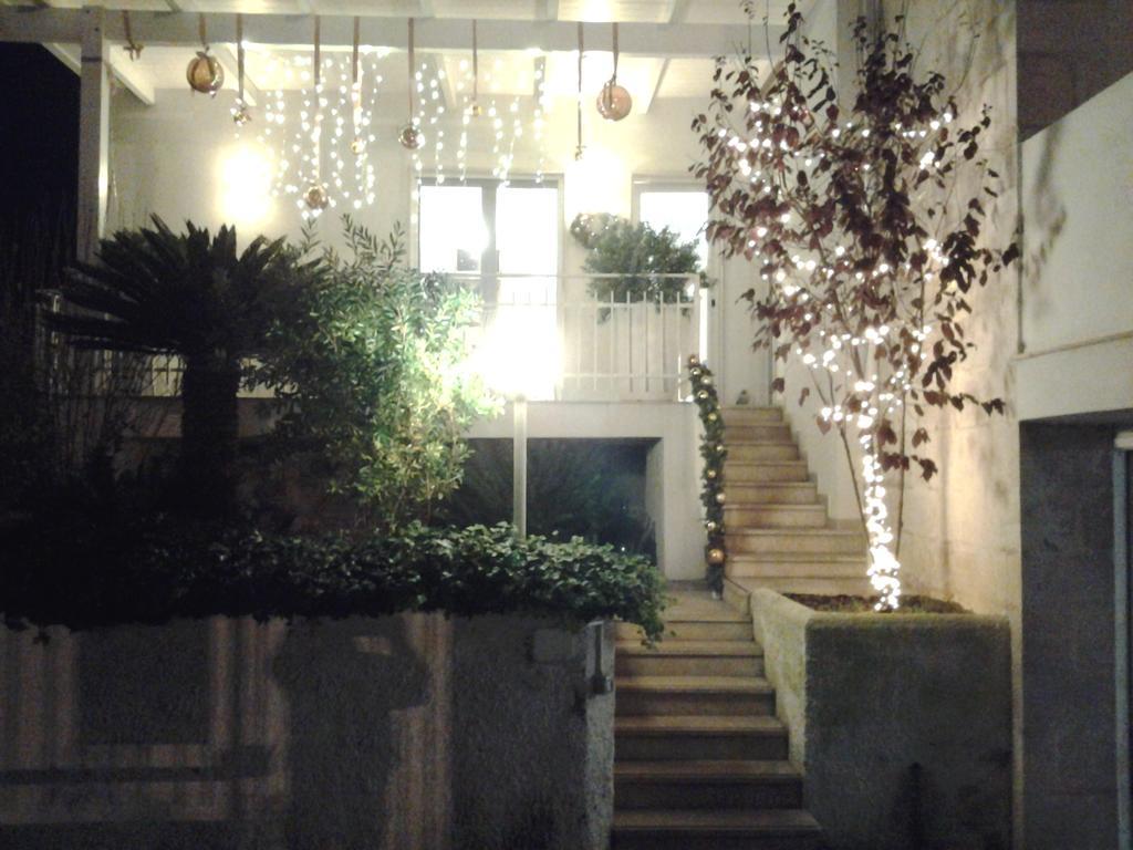 Nocleg ze śniadaniem Moma Bari